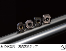 DGC型用　刃先交換チップ