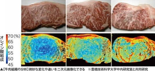 【牛肉組織の分析】微妙な変化や違いを二次元画像化できる ※豊橋技術科学大学中内研究室と共同研究